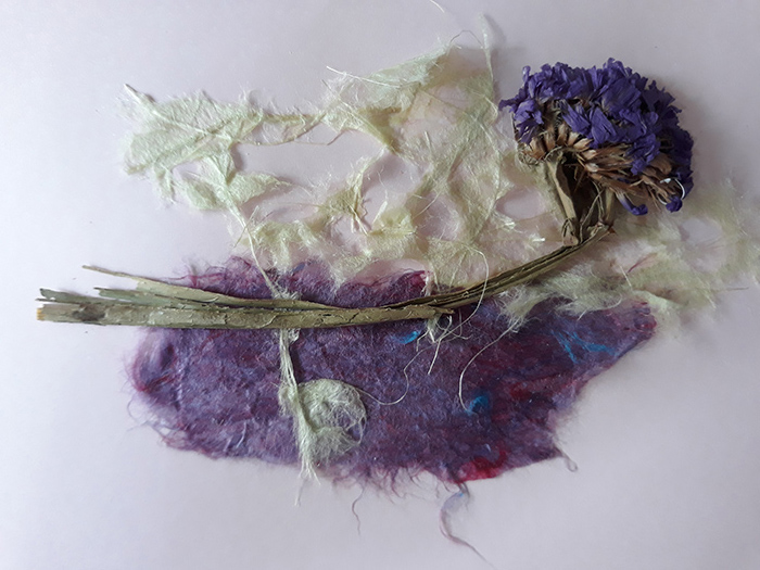 PurplePassion